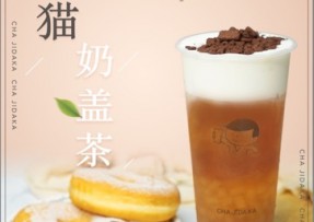 星空娱乐：熊猫奶盖茶